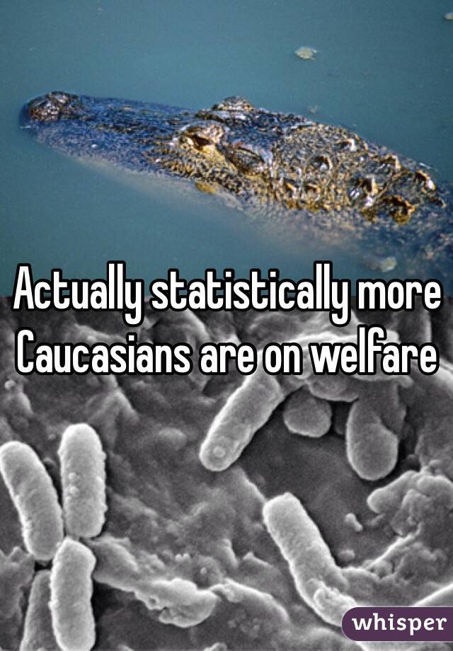 Actually statistically more Caucasians are on welfare 