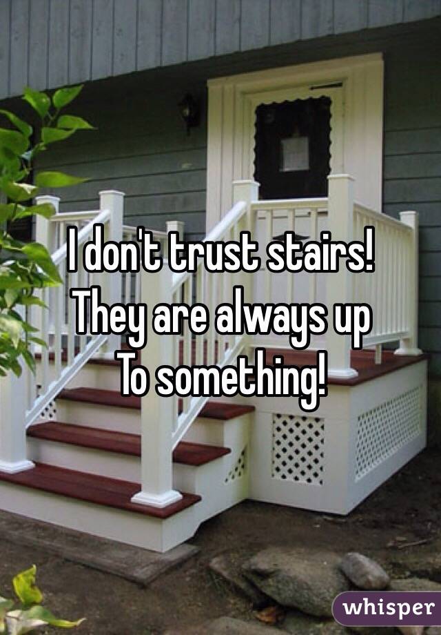 I don't trust stairs!
They are always up 
To something!