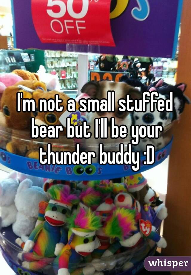 I'm not a small stuffed bear but I'll be your thunder buddy :D