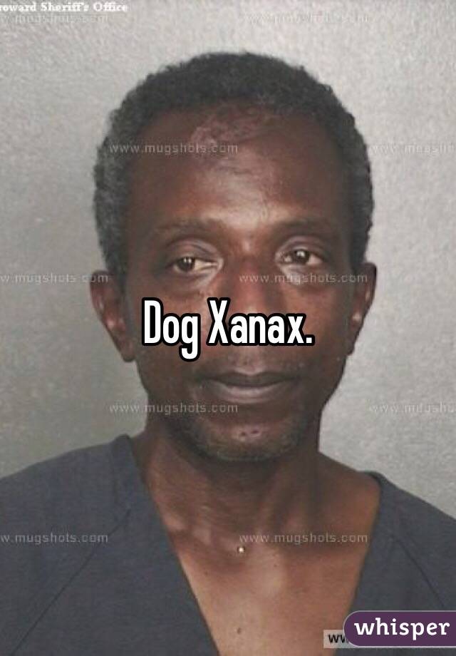 Dog Xanax.