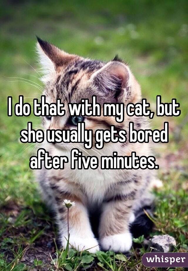 I do that with my cat, but she usually gets bored after five minutes.