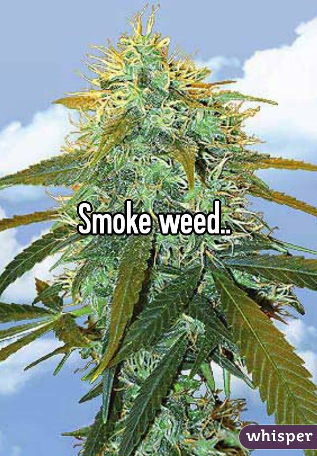 Smoke weed.. 