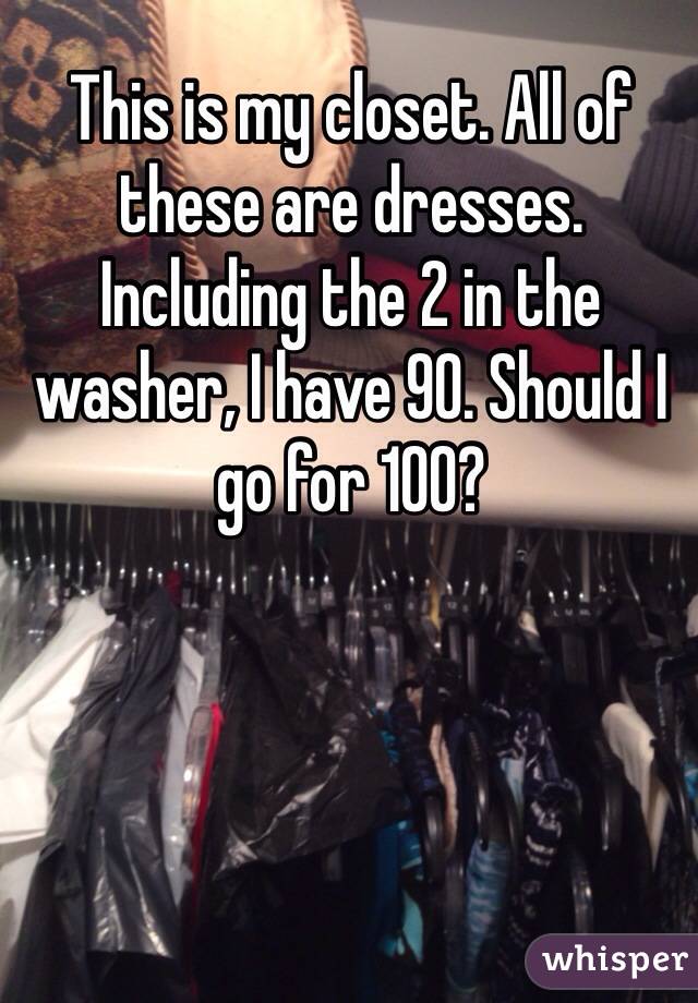 This is my closet. All of these are dresses. Including the 2 in the washer, I have 90. Should I go for 100?