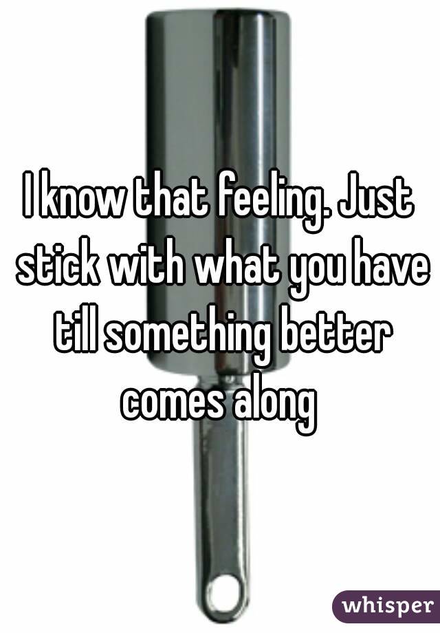 I know that feeling. Just stick with what you have till something better comes along 