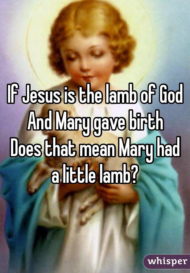 If Jesus is the lamb of God
And Mary gave birth
Does that mean Mary had a little lamb?