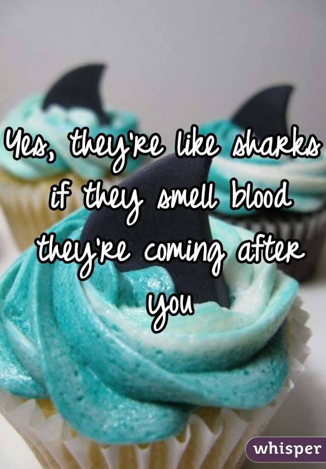 Yes, they're like sharks if they smell blood they're coming after you
