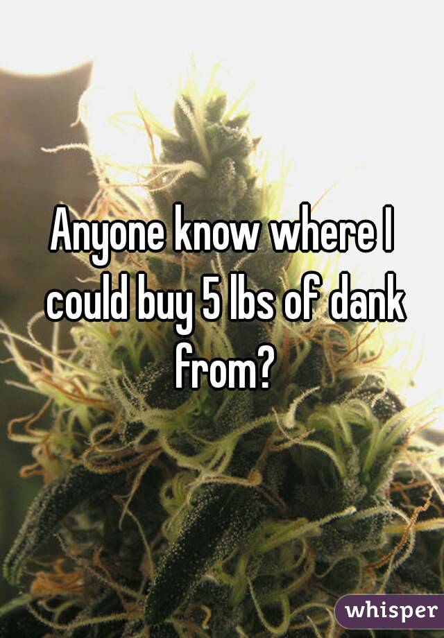 Anyone know where I could buy 5 lbs of dank from?