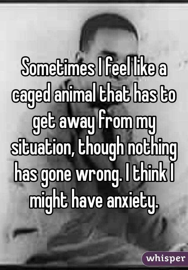 Sometimes I feel like a caged animal that has to get away from my situation, though nothing has gone wrong. I think I might have anxiety. 
