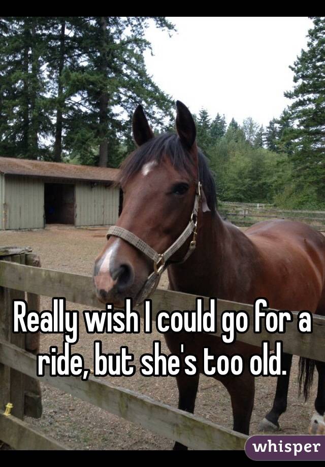 Really wish I could go for a ride, but she's too old. 