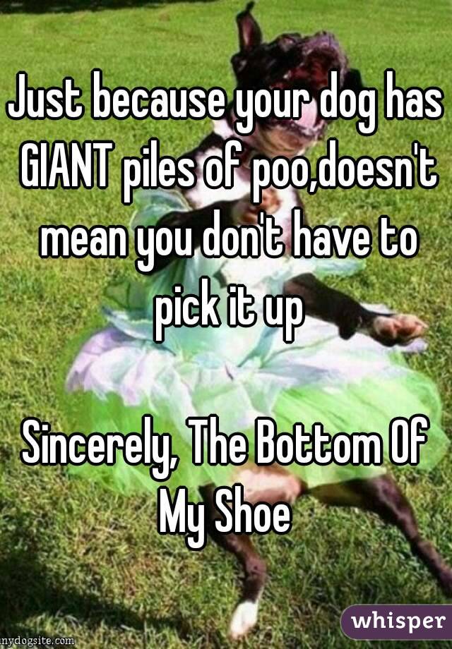 Just because your dog has GIANT piles of poo,doesn't mean you don't have to pick it up

Sincerely, The Bottom Of My Shoe 