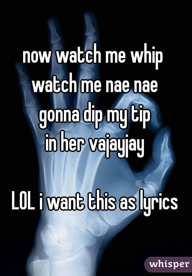 now watch me whip 
watch me nae nae
gonna dip my tip
in her vajayjay

LOL i want this as lyrics