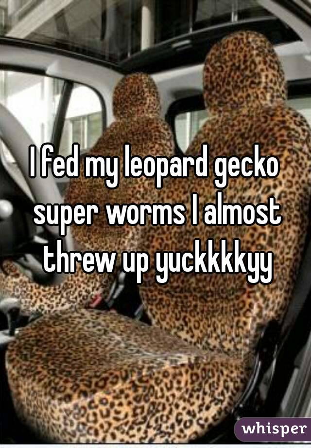I fed my leopard gecko super worms I almost threw up yuckkkkyy