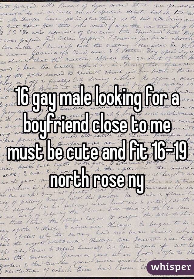 16 gay male looking for a boyfriend close to me must be cute and fit 16-19 north rose ny 