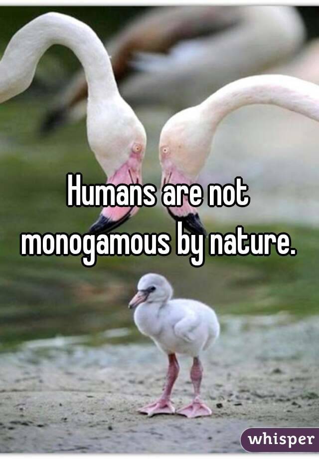 Humans are not monogamous by nature. 