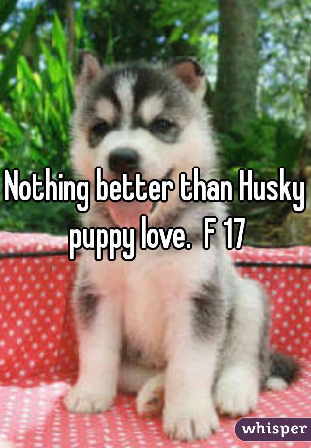 Nothing better than Husky puppy love.  F 17