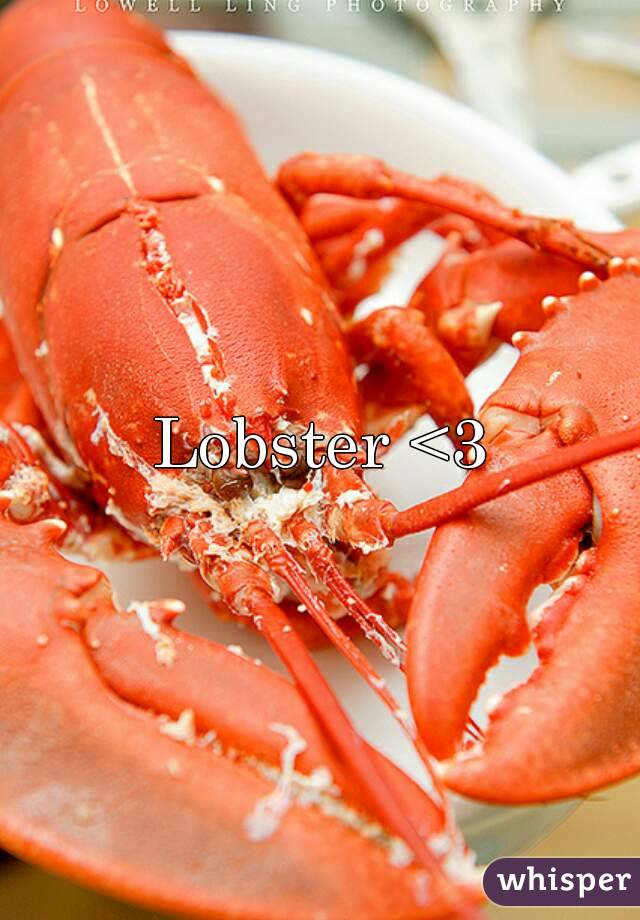 Lobster <3