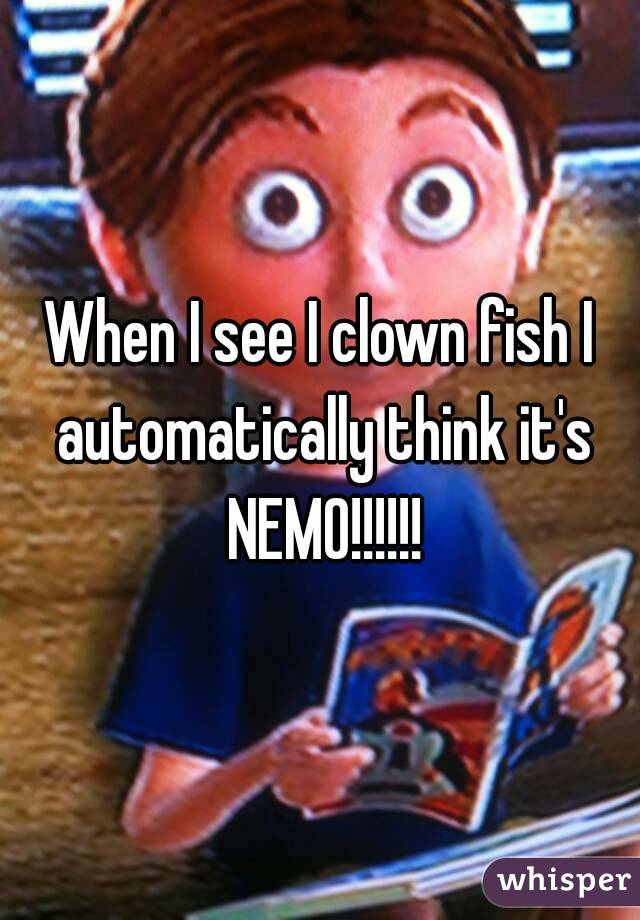 When I see I clown fish I automatically think it's NEMO!!!!!!