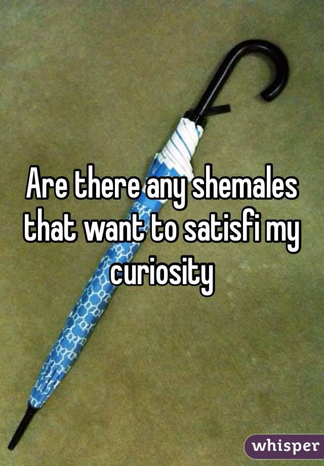 Are there any shemales that want to satisfi my curiosity