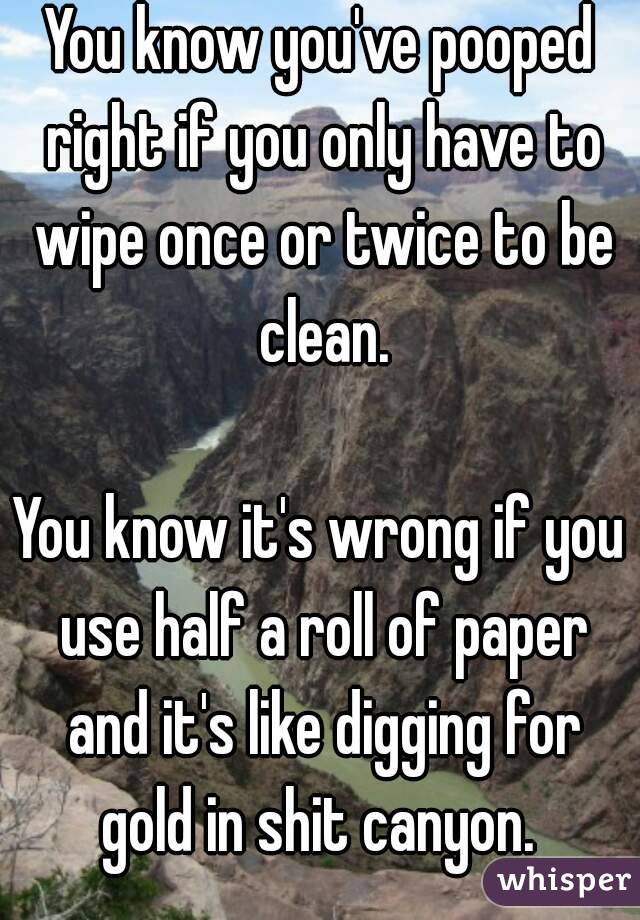 You know you've pooped right if you only have to wipe once or twice to be clean.

You know it's wrong if you use half a roll of paper and it's like digging for gold in shit canyon. 