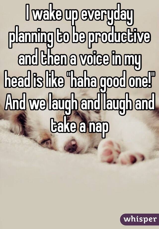 I wake up everyday planning to be productive and then a voice in my head is like "haha good one!"
And we laugh and laugh and take a nap
