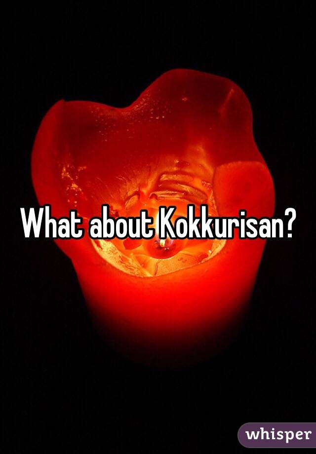 What about Kokkurisan?