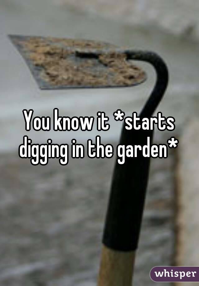 You know it *starts digging in the garden* 