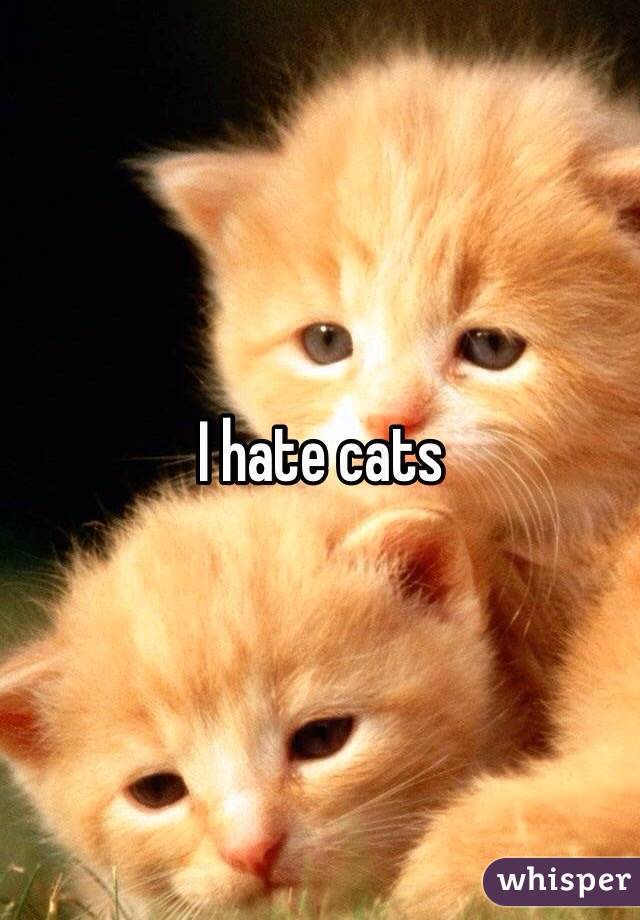 I hate cats