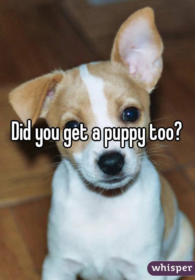 Did you get a puppy too?