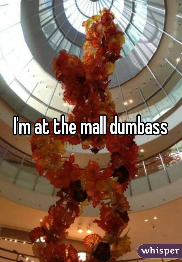 I'm at the mall dumbass