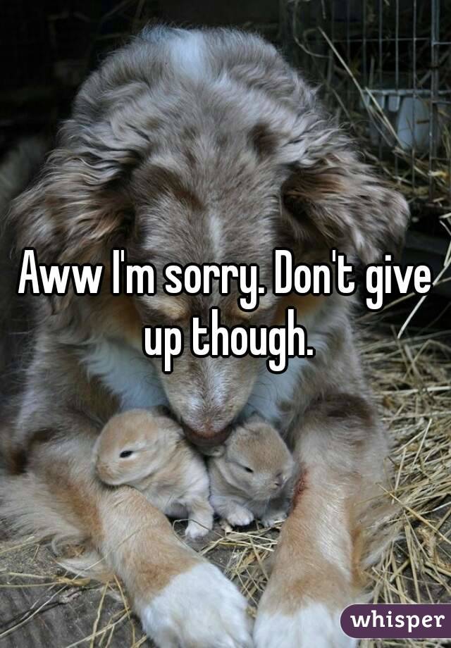 Aww I'm sorry. Don't give up though.