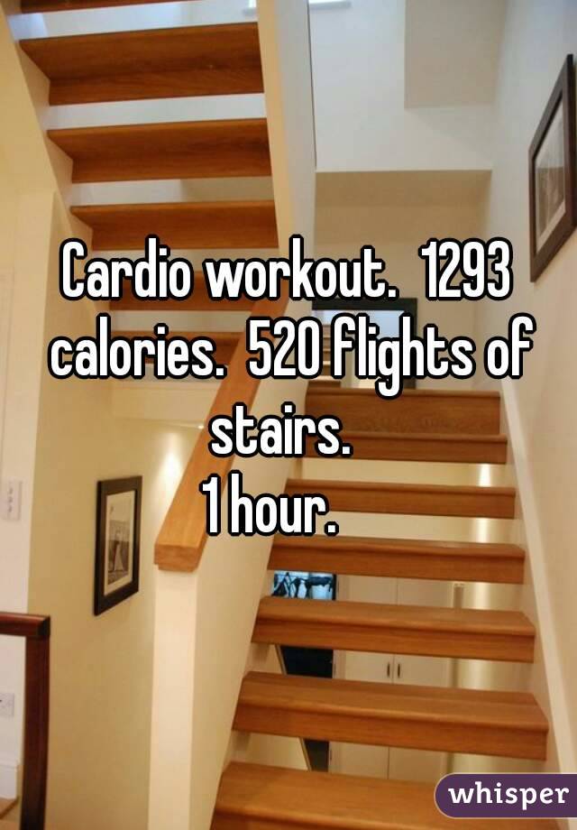 Cardio workout.  1293 calories.  520 flights of stairs.  
1 hour.   