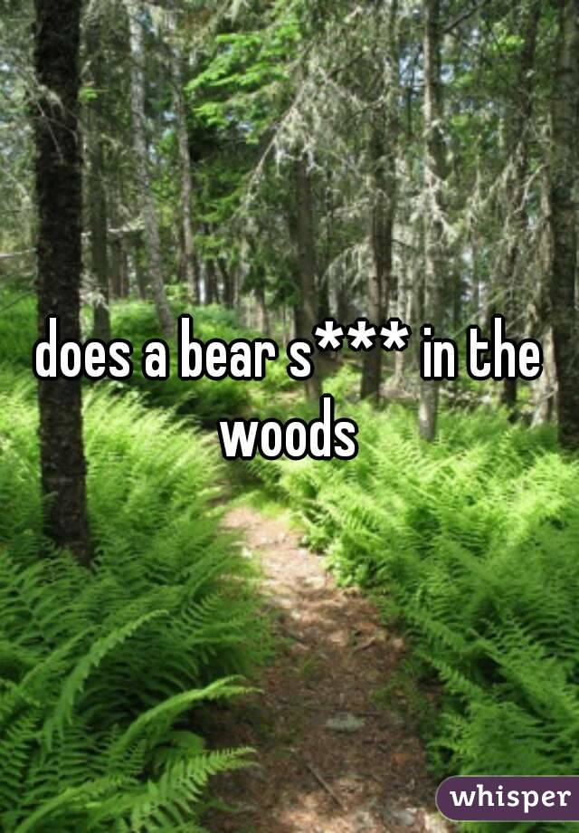 does a bear s*** in the woods 