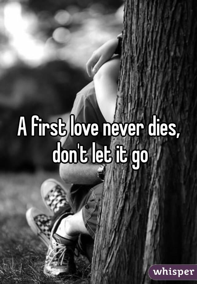 A first love never dies, don't let it go