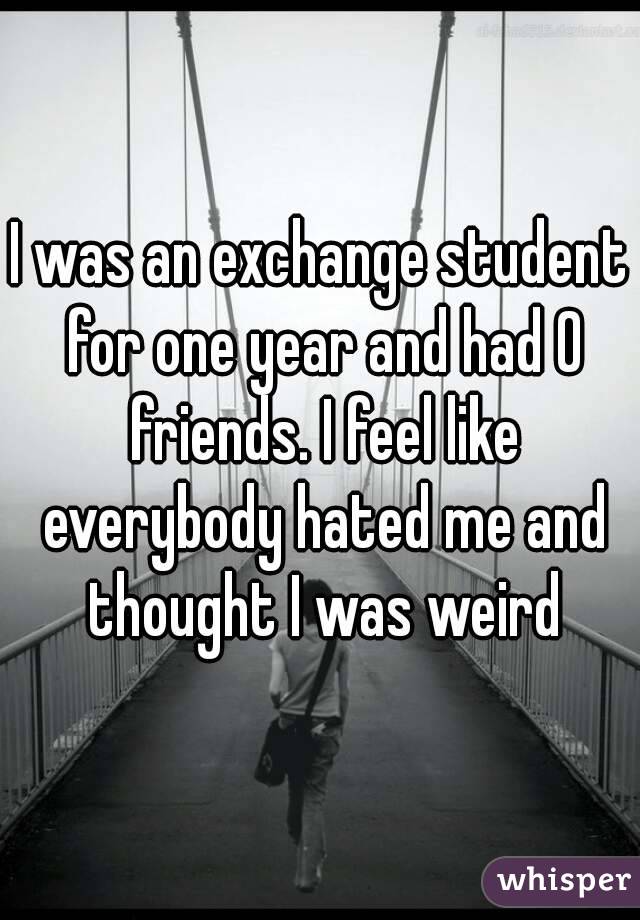 I was an exchange student for one year and had 0 friends. I feel like everybody hated me and thought I was weird