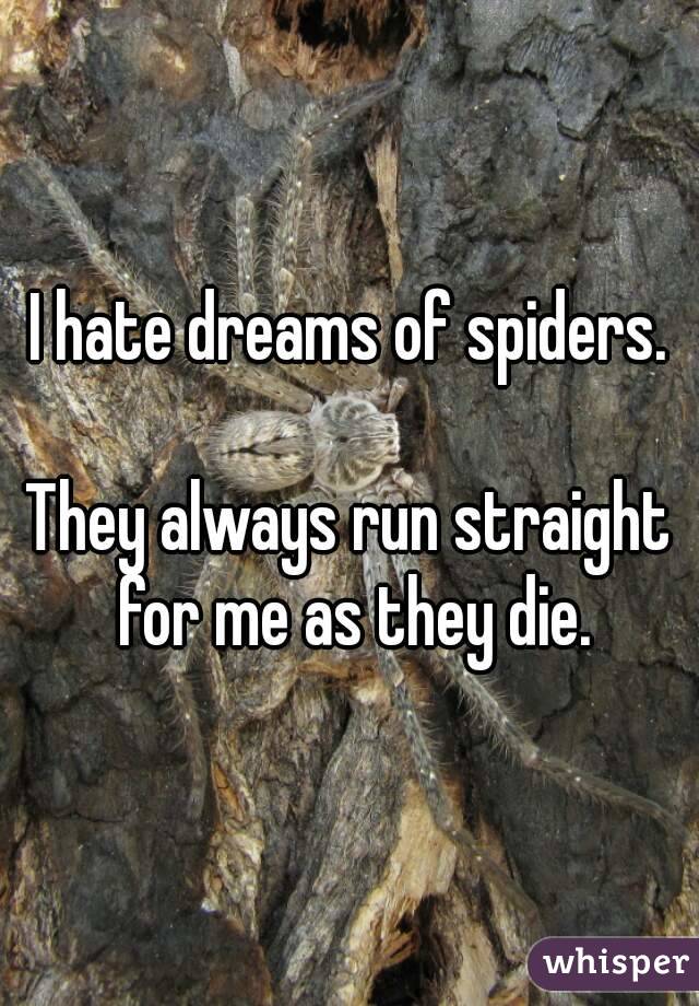 I hate dreams of spiders.

They always run straight for me as they die.