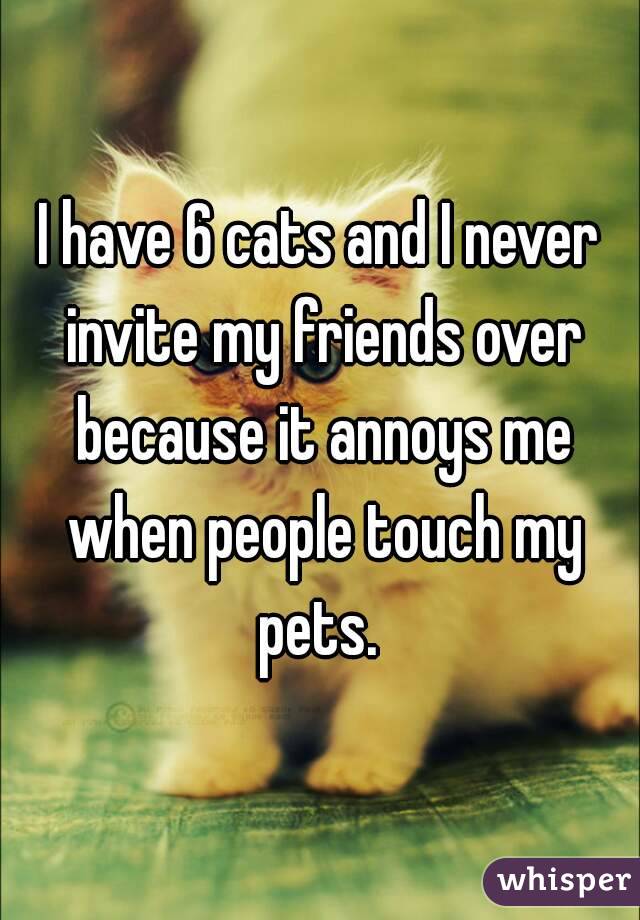 I have 6 cats and I never invite my friends over because it annoys me when people touch my pets. 