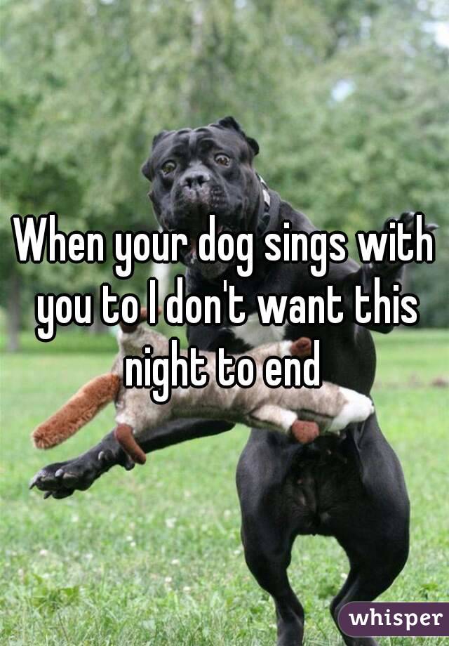When your dog sings with you to I don't want this night to end 