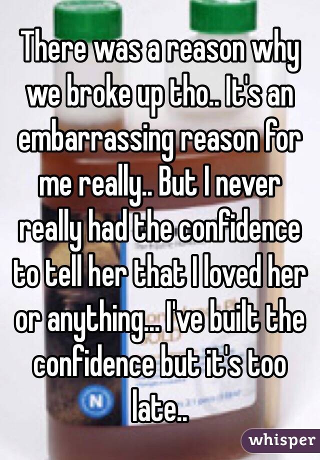 There was a reason why we broke up tho.. It's an embarrassing reason for me really.. But I never really had the confidence to tell her that I loved her or anything... I've built the confidence but it's too late..