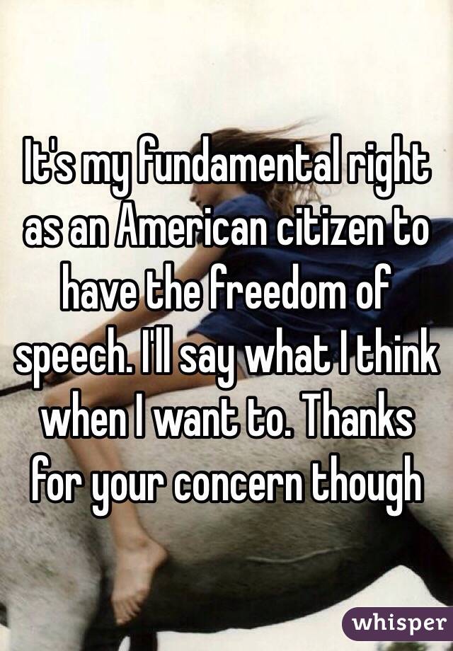 It's my fundamental right as an American citizen to have the freedom of speech. I'll say what I think when I want to. Thanks for your concern though