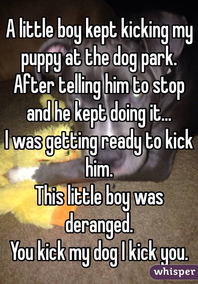 A little boy kept kicking my puppy at the dog park. 
After telling him to stop and he kept doing it...
I was getting ready to kick him. 
This little boy was deranged.
You kick my dog I kick you. 