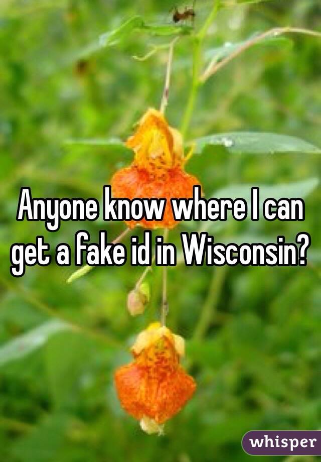 Anyone know where I can get a fake id in Wisconsin?