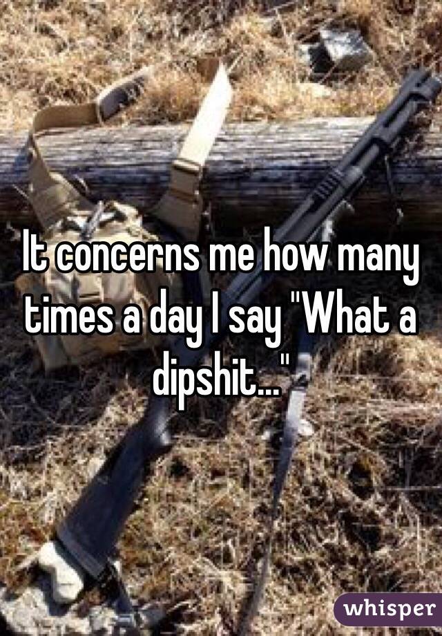 It concerns me how many times a day I say "What a dipshit..."