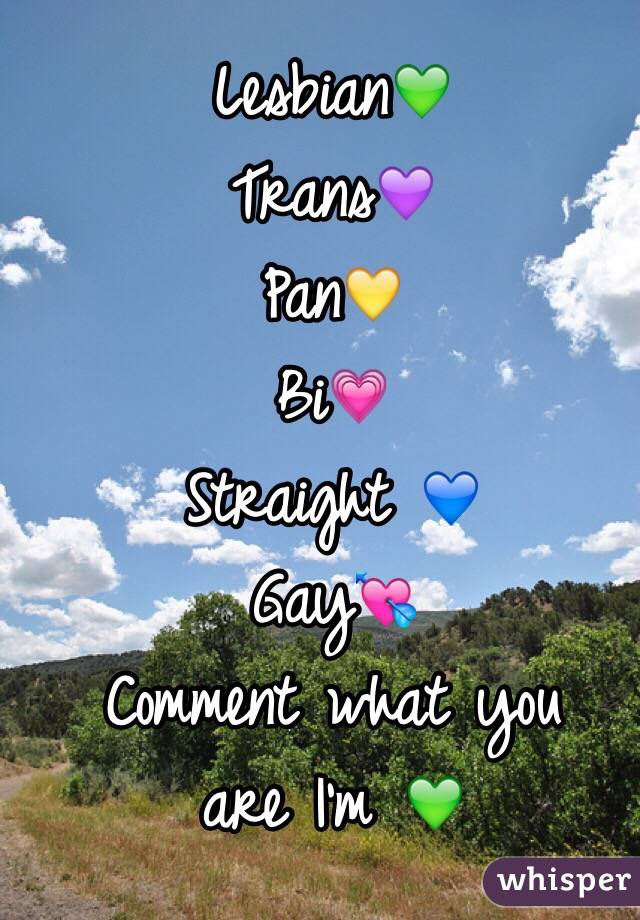 Lesbian💚
Trans💜
Pan💛
Bi💗
Straight 💙
Gay💘
  Comment what you are I'm 💚