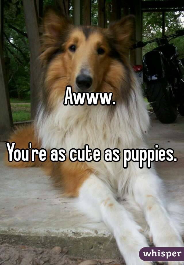 Awww. 

You're as cute as puppies.