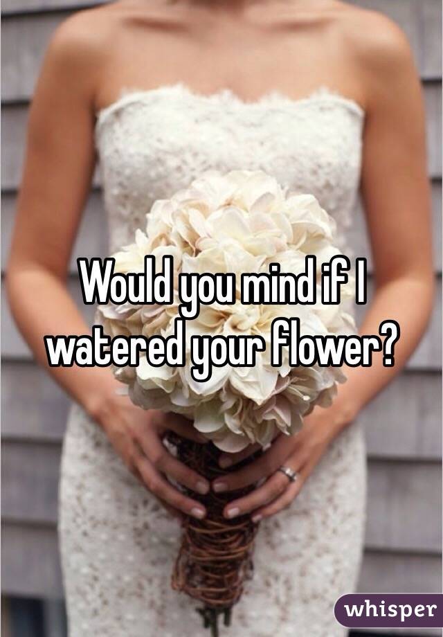 Would you mind if I watered your flower? 