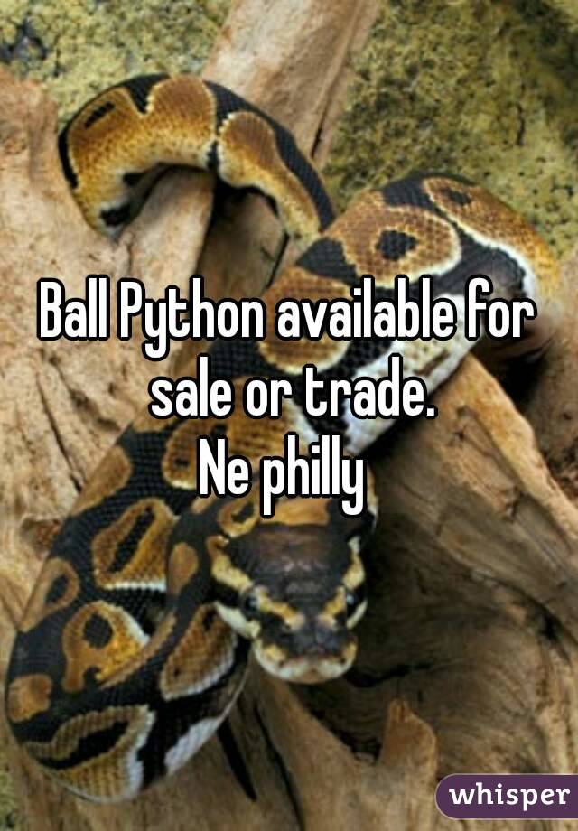 Ball Python available for sale or trade.
Ne philly 