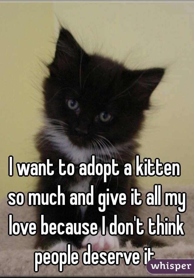 I want to adopt a kitten so much and give it all my love because I don't think people deserve it.