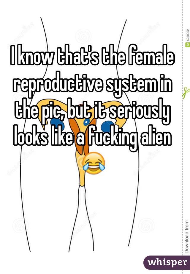 I know that's the female reproductive system in the pic, but it seriously looks like a fucking alien 😂