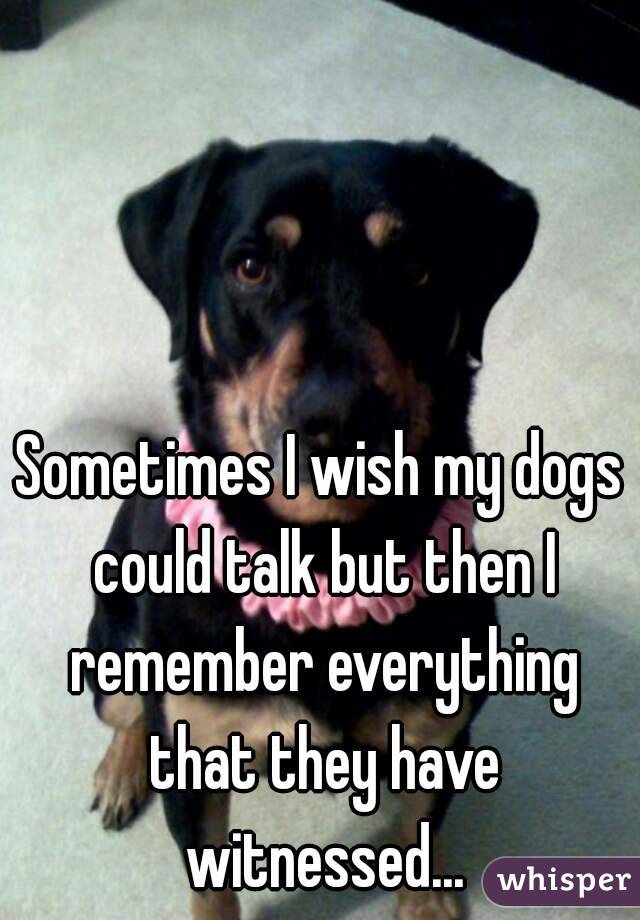 Sometimes I wish my dogs could talk but then I remember everything that they have witnessed...