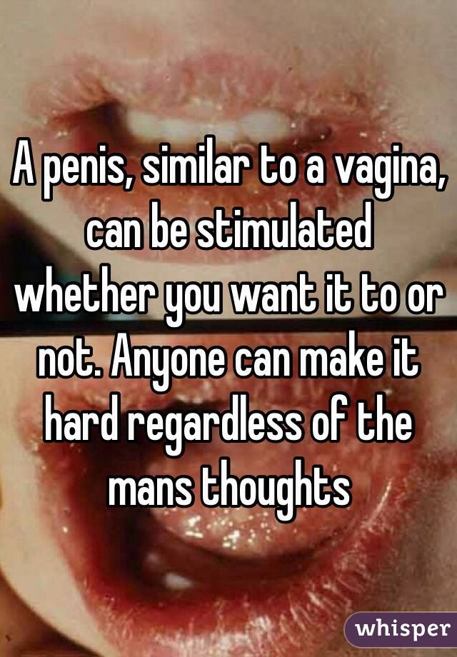 A penis, similar to a vagina, can be stimulated whether you want it to or not. Anyone can make it hard regardless of the mans thoughts